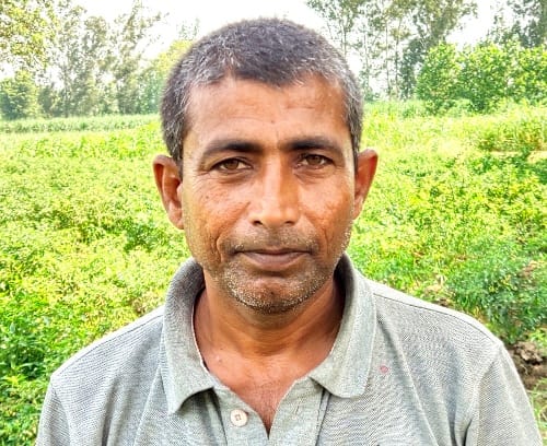 Farmers' faces blossomed due to increase in chilli prices