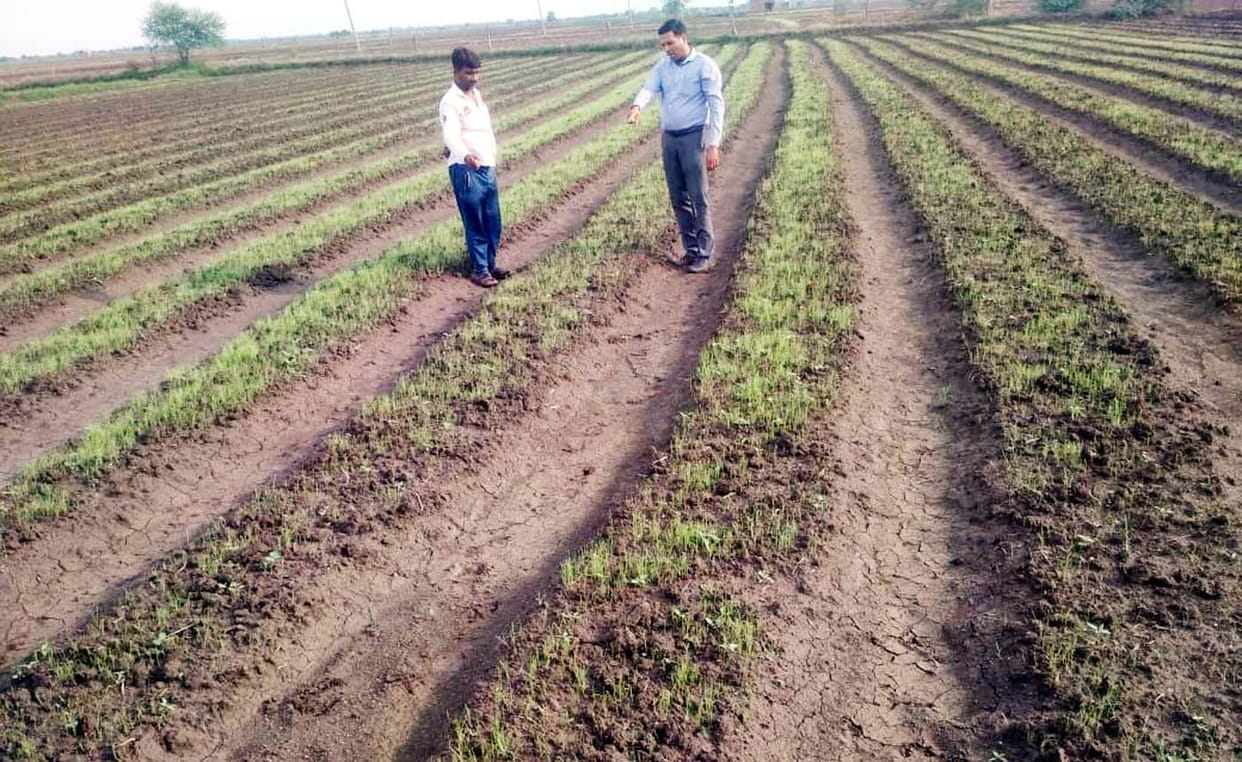 civic,agricalture,hamirpur news