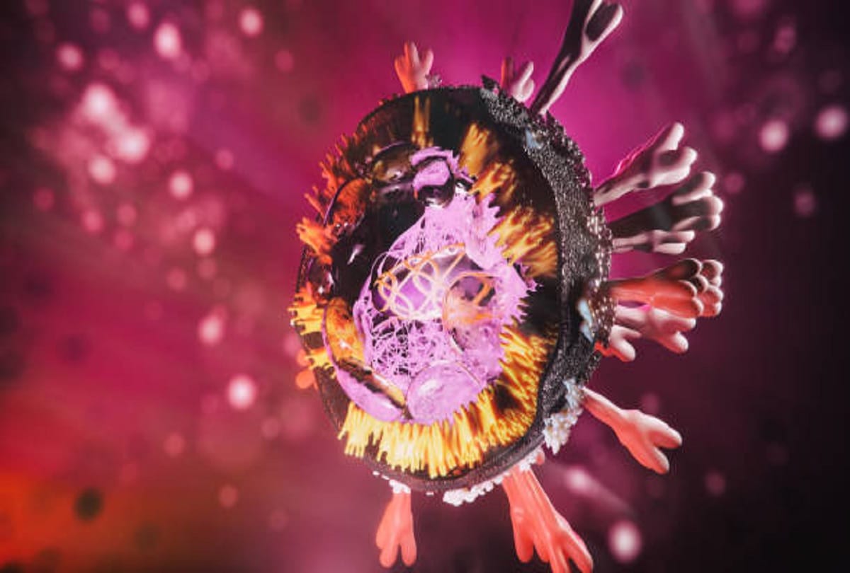 New virus found in Covid patients named Cytomegalovirus symptoms CMV infection
