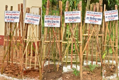 Plants planted in name of martyr doctors during corona padmic on doctors day
