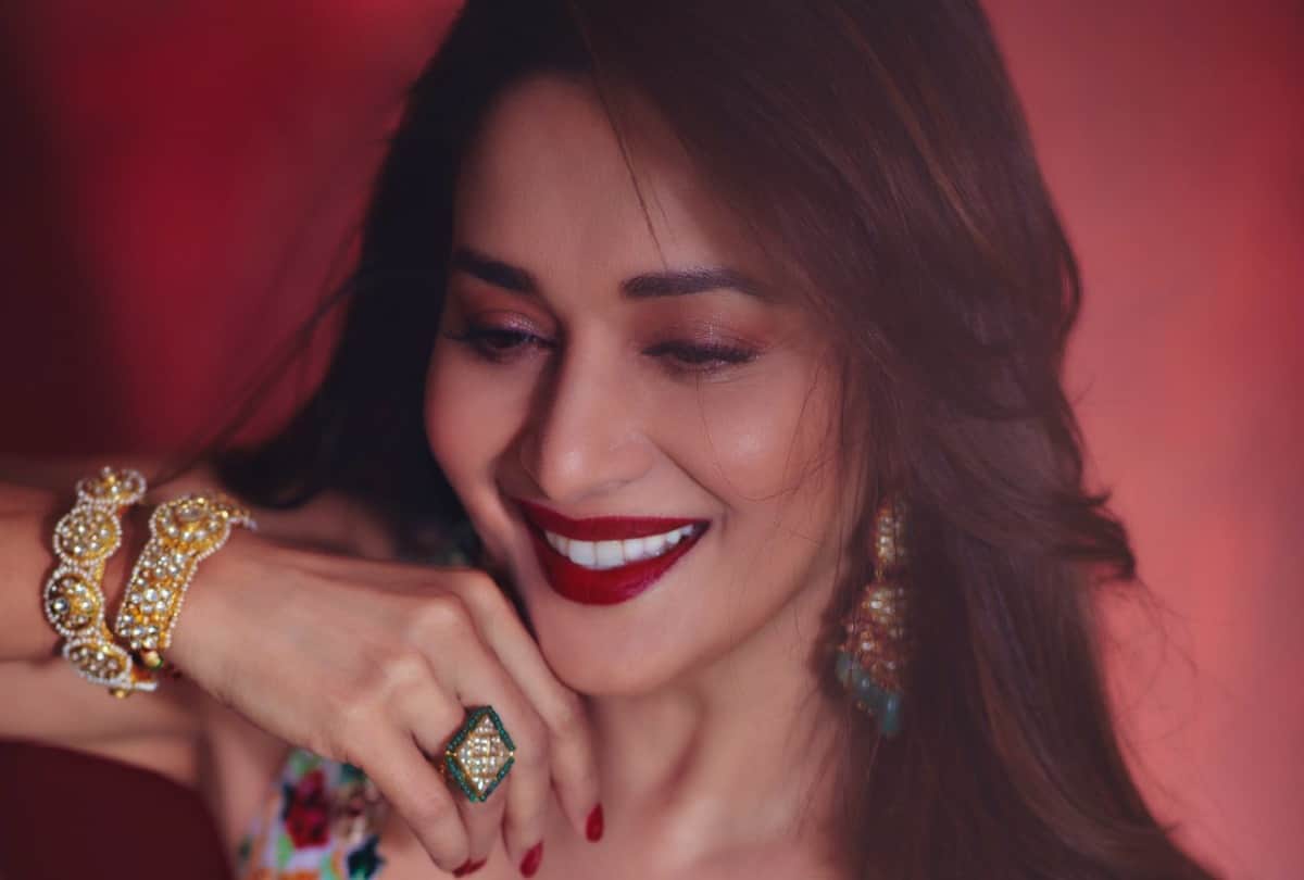 madhuri dixit working in karan johar web series finding anamika taking this much fee