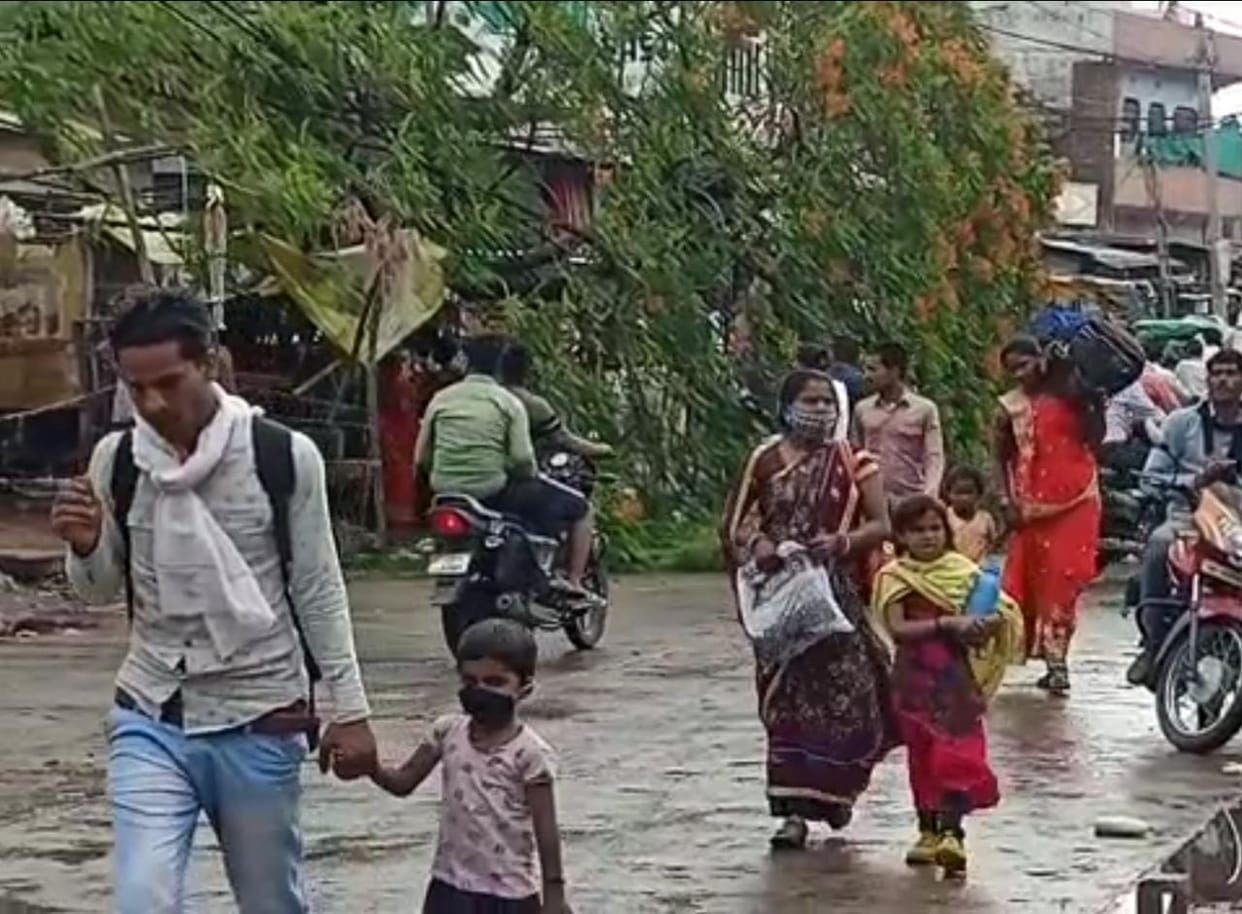 gulmohar tree destroyed by storm