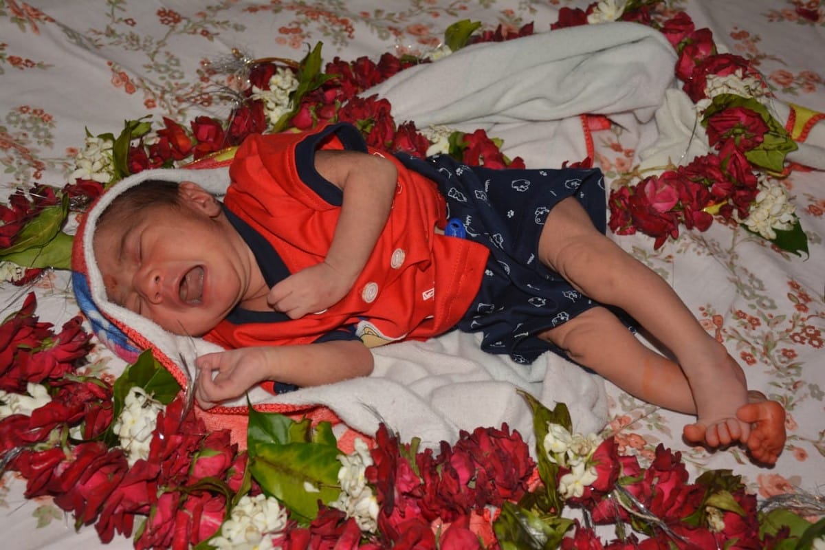 Family celebrate of daughter birth after 30 years planted  panchavati plant in temple