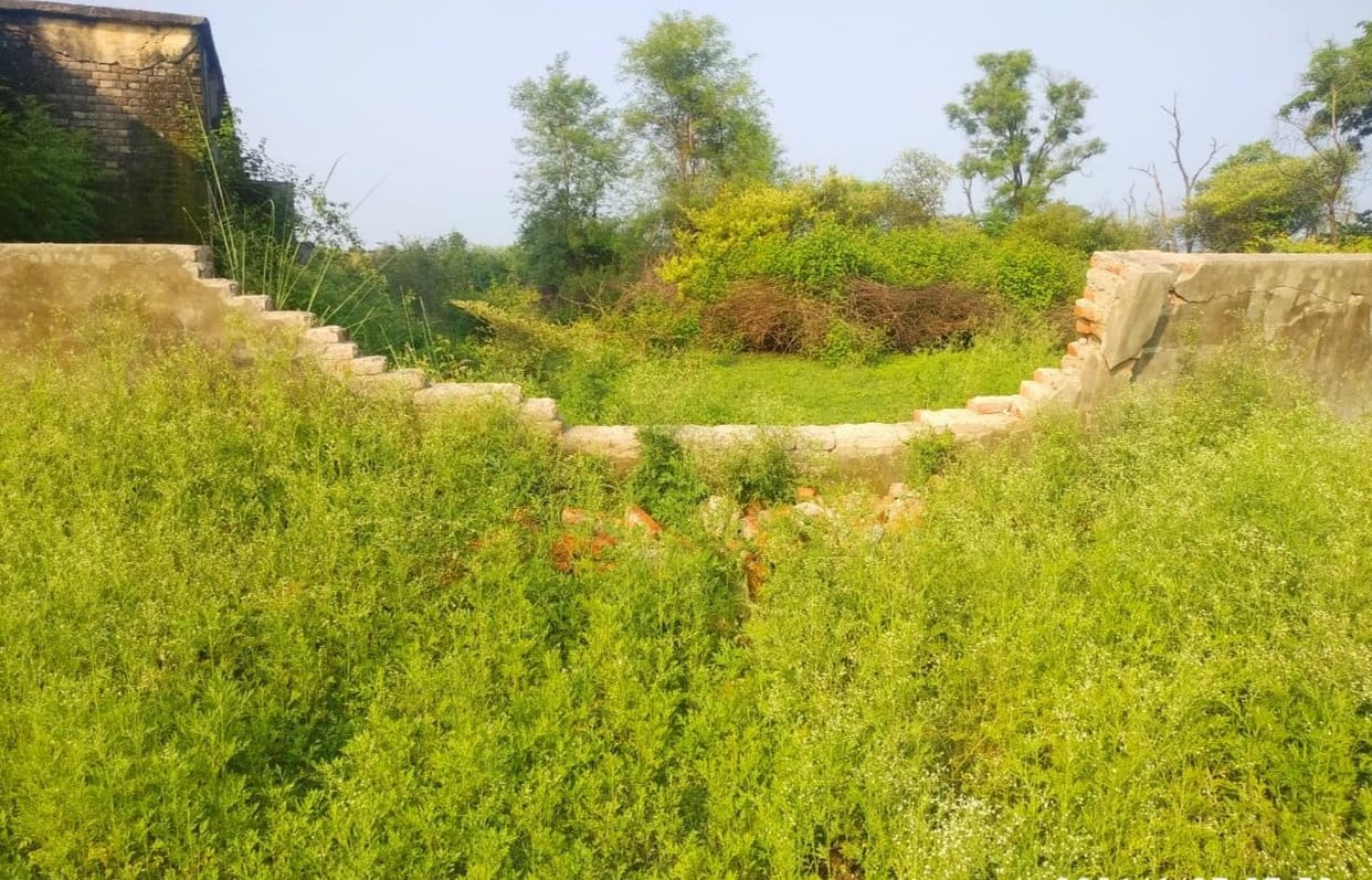 Panic due to the knock of tiger in the populated area in Kalagarh
