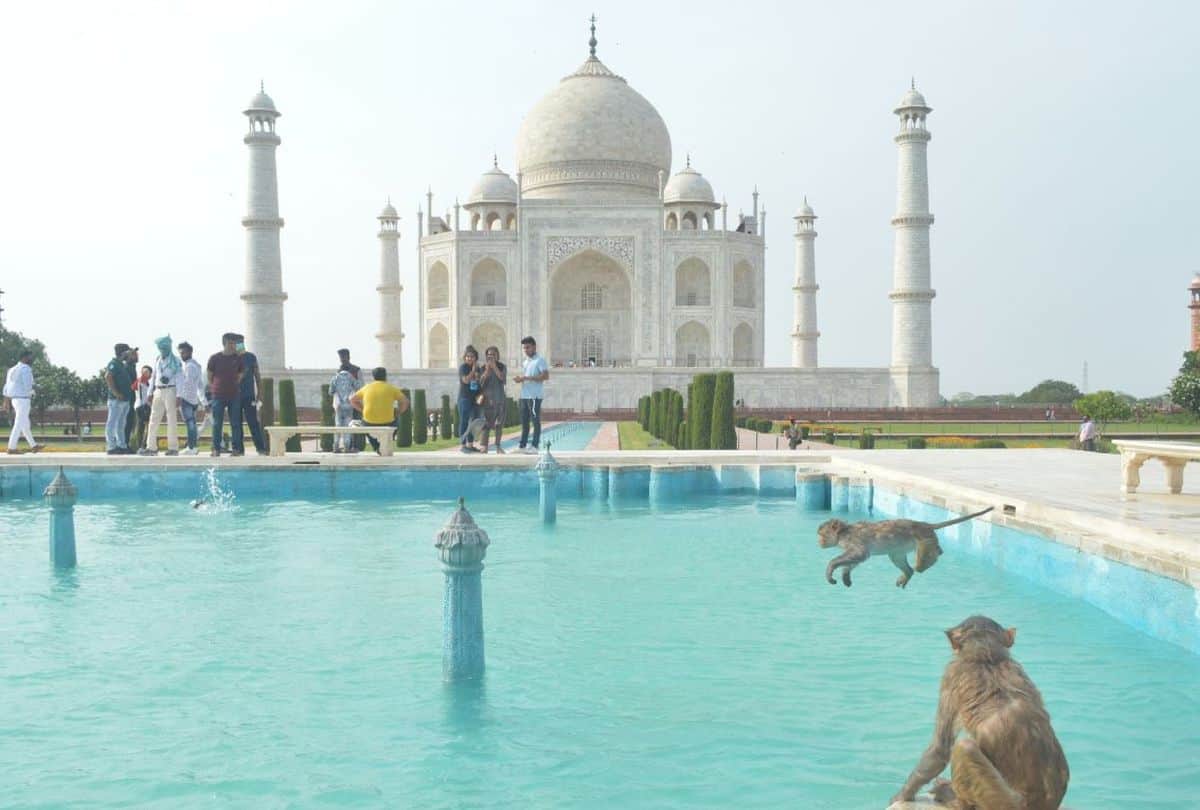 Tourist palaces Apart from the Taj Mahal in Agra you can also visit these four places