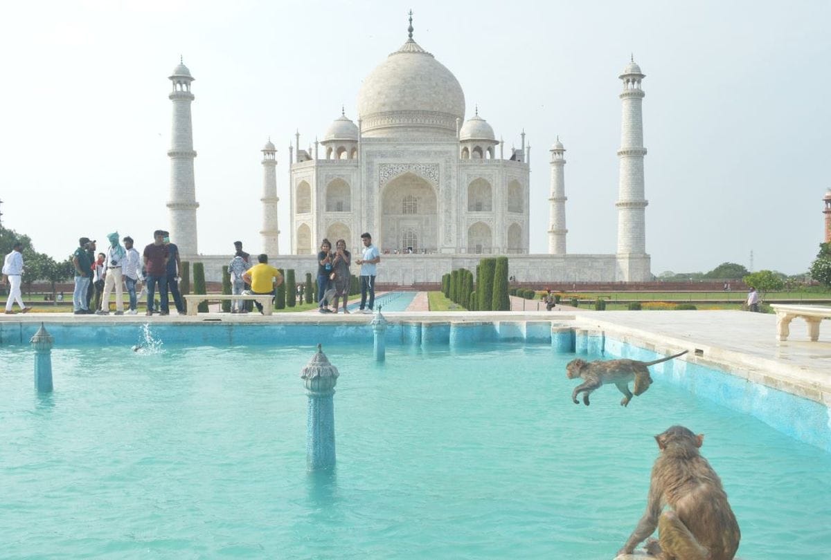 Tourist palaces Apart from the Taj Mahal in Agra you can also visit these four places