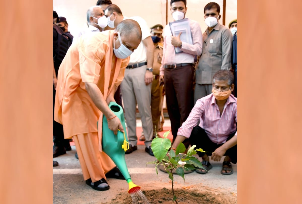 CM Yogi Adityanath starts the plantation programme in Lucknow.
