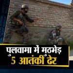 दनादन