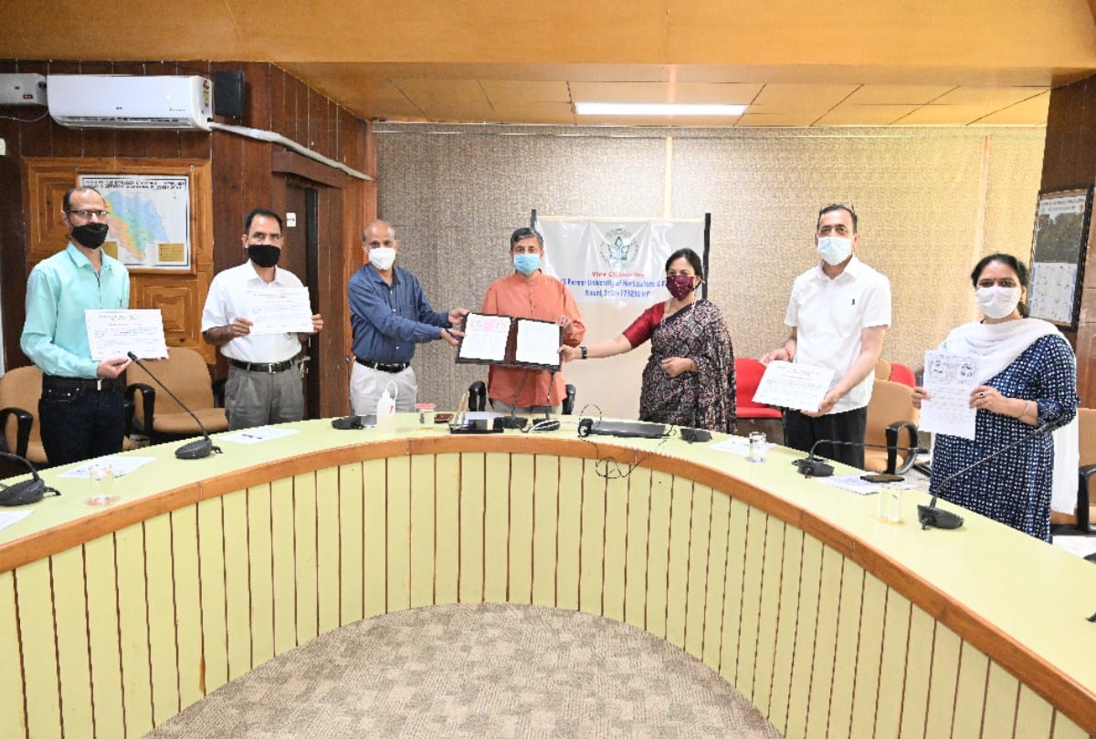 Vinegar will be made from low grade apples that are not sold in the market, scientists of Nauni University will produce