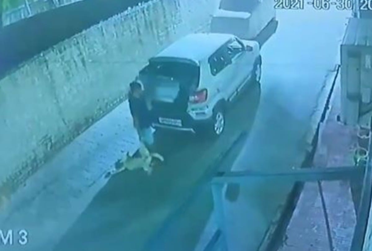 man shot and killed a pet dog in Agra