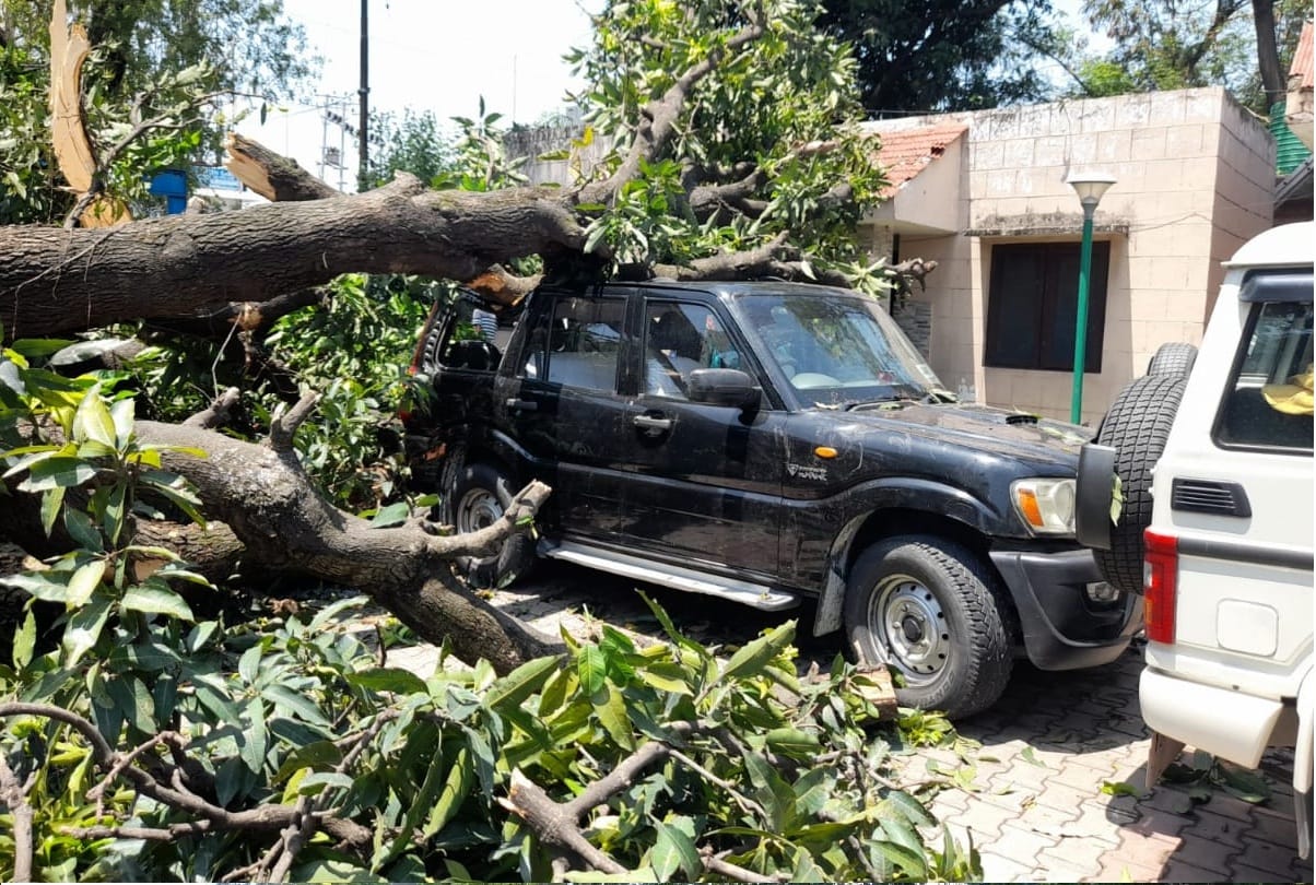 weather forecast jammu kashmir Trees uprooted walls demolished following heavy winds in Jammu