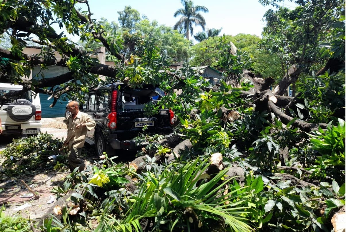 weather forecast jammu kashmir Trees uprooted walls demolished following heavy winds in Jammu