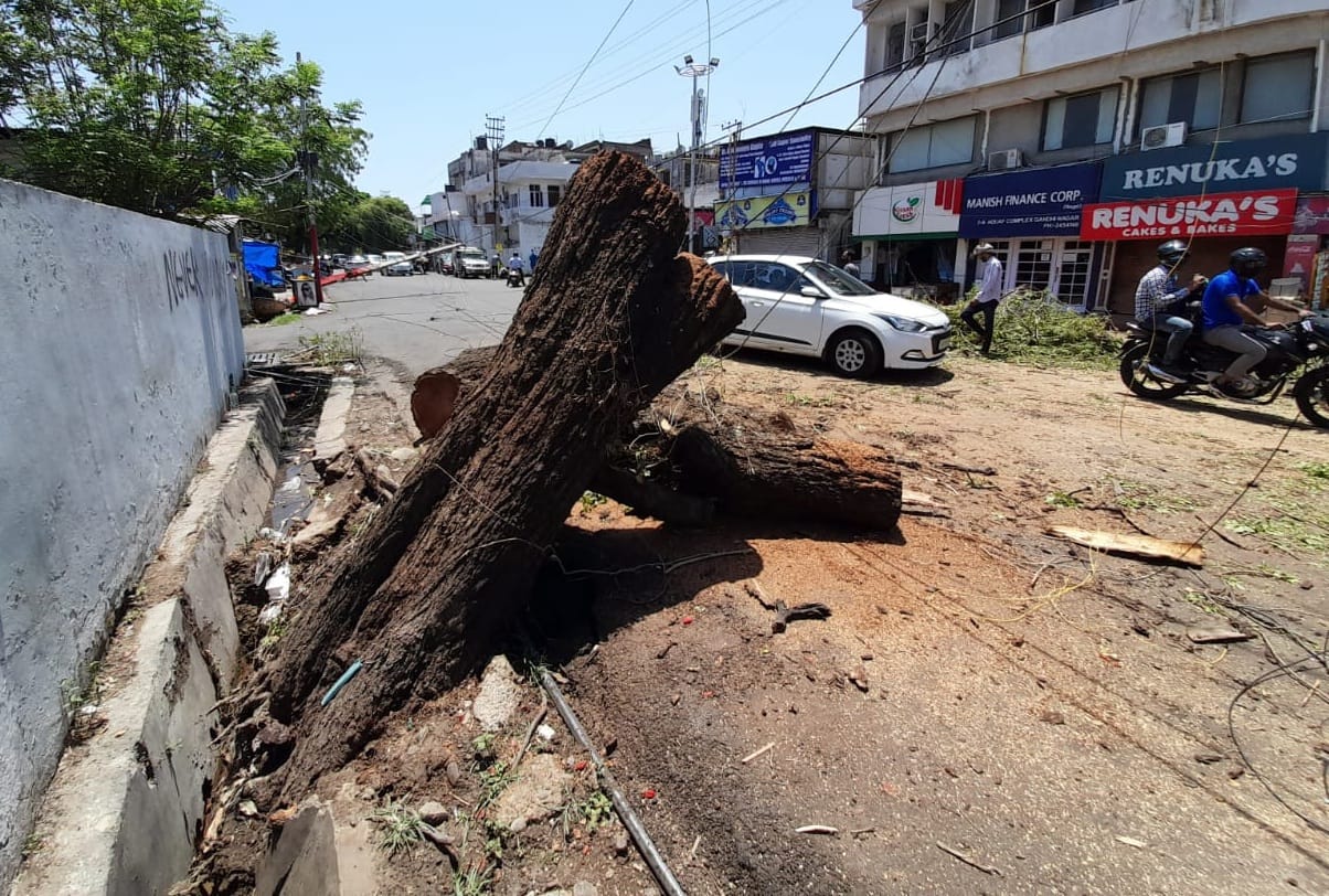 weather forecast jammu kashmir Trees uprooted walls demolished following heavy winds in Jammu