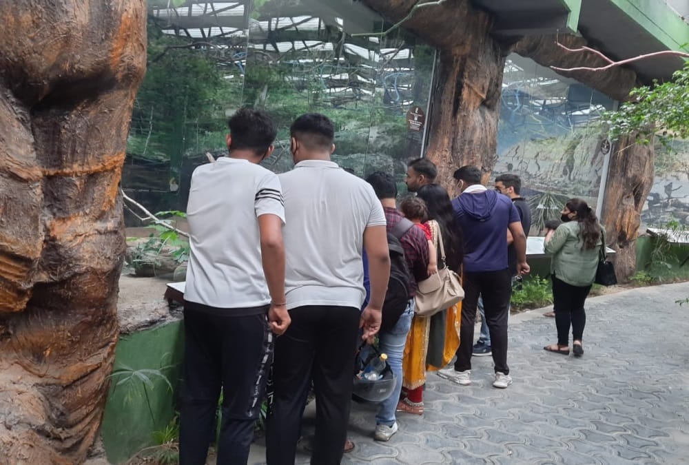 Dehradun News: Tourist Crowd in Doon Zoo on Weekend during corona pandemic