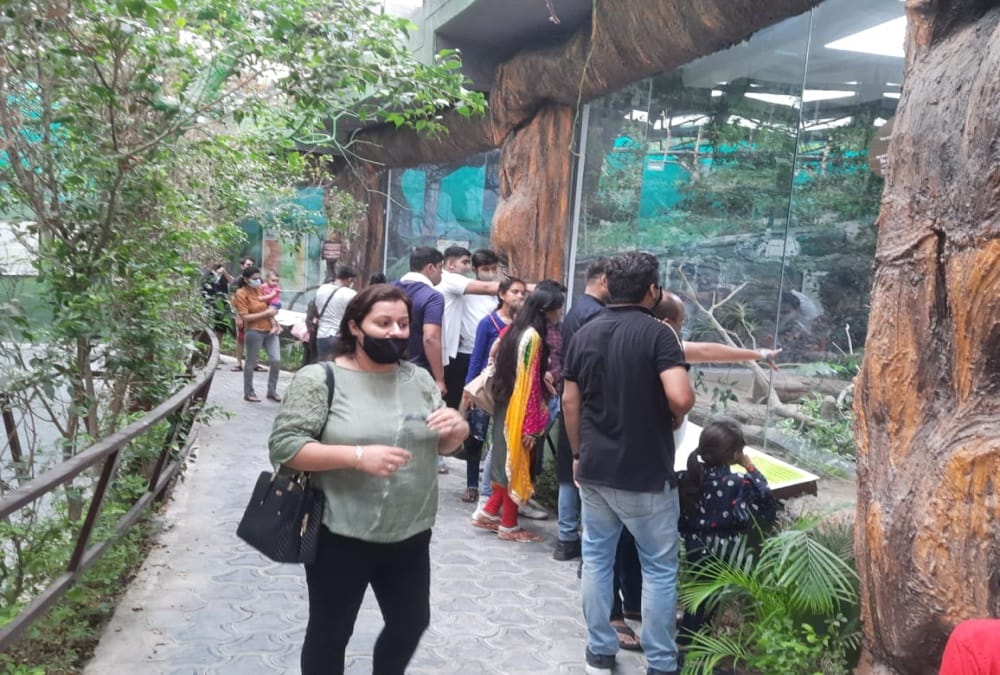 Dehradun News: Tourist Crowd in Doon Zoo on Weekend during corona pandemic