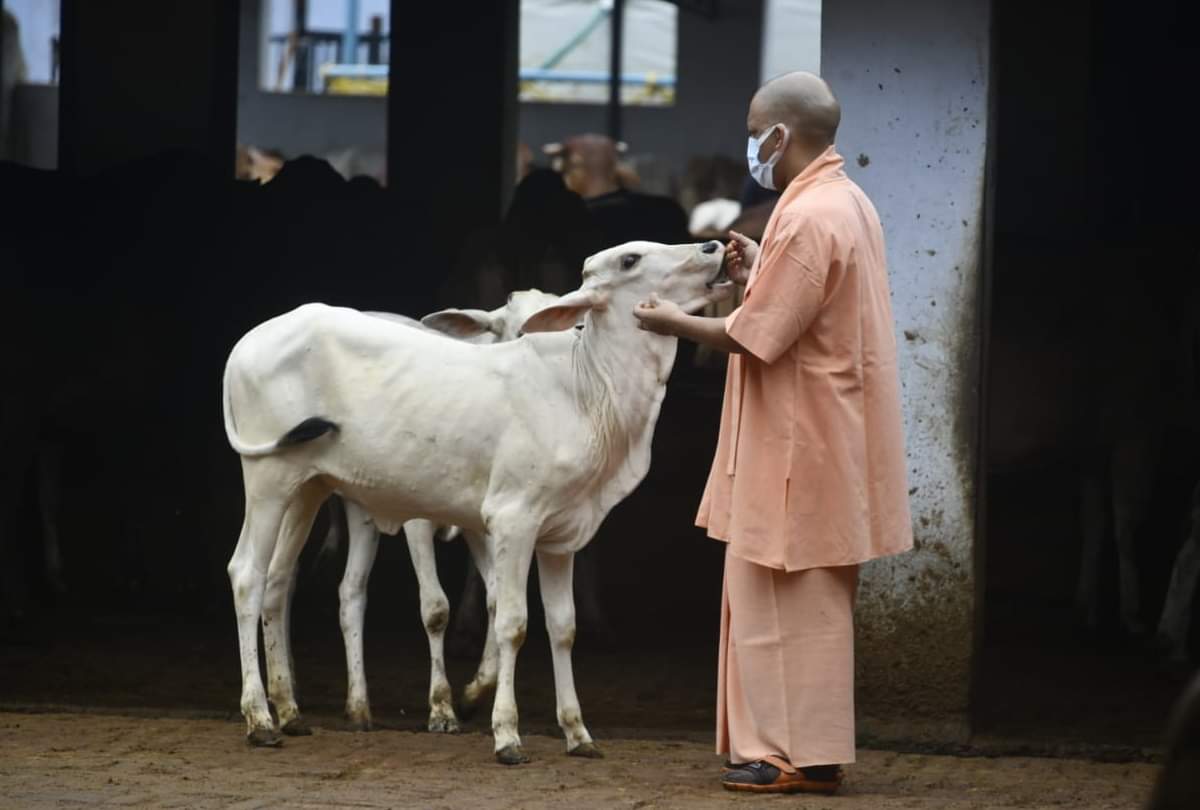 CM yogi Adityanath listen problem in Janta darbar at Gorakhnath mandir