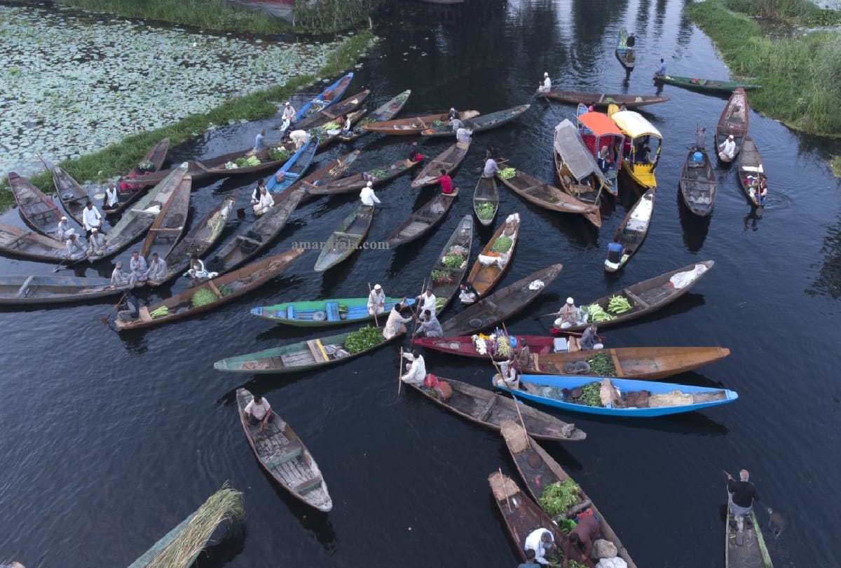 Floating Vegetable Market Dal Lake Srinagar Jammu Kashmir
