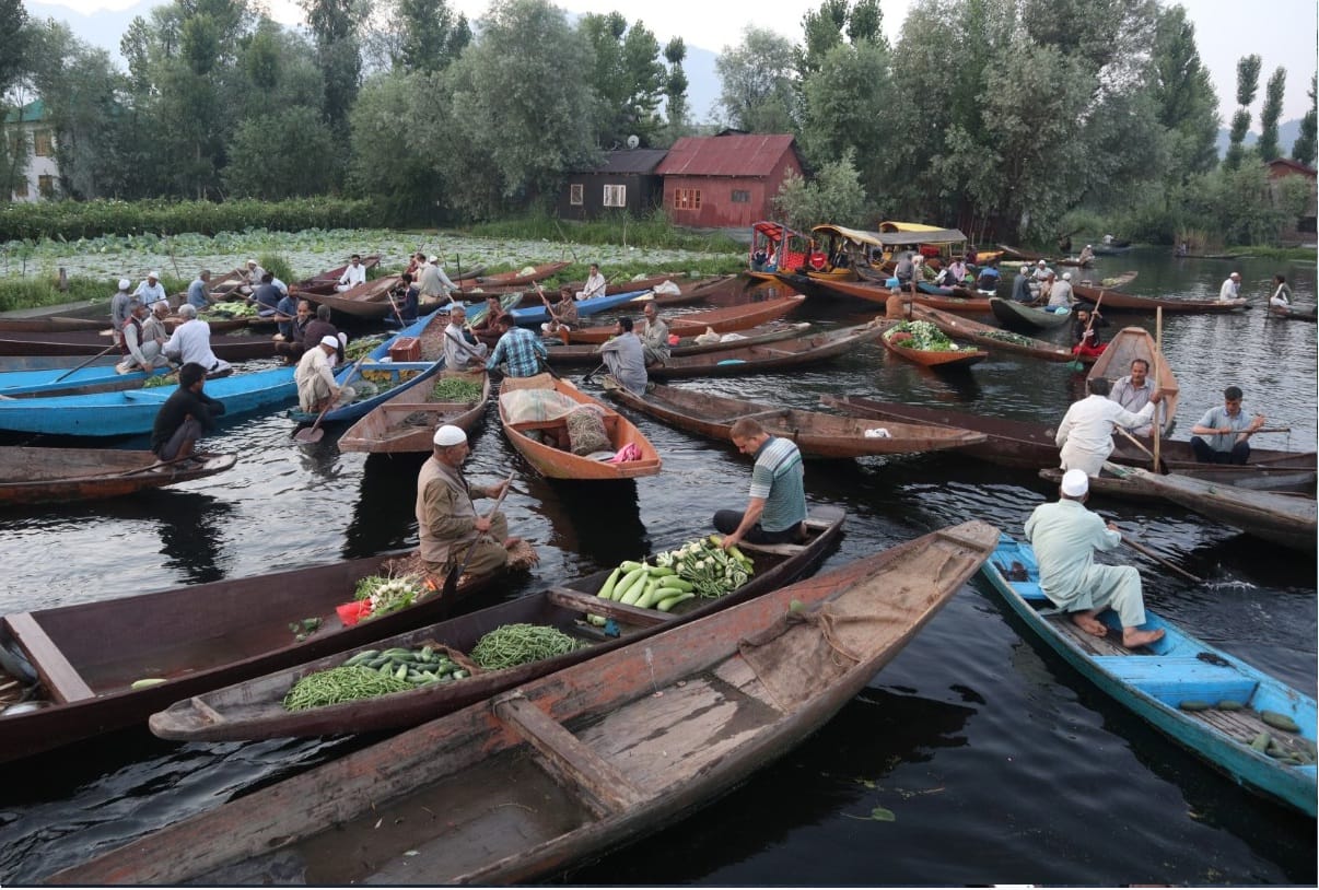 Floating Vegetable Market Dal Lake Srinagar Jammu Kashmir