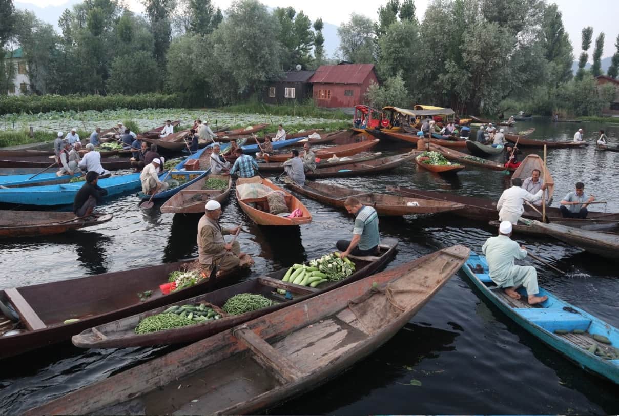 kashmir: Exotic crocodile poses threat to flora and fauna of Dal lake srinagar