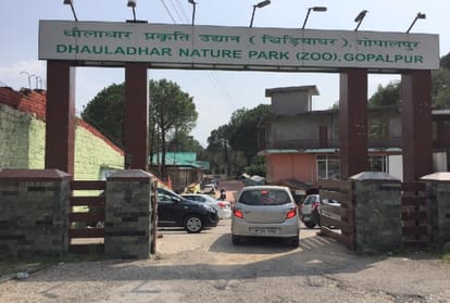 Gopalpur Zoo will become wildlife rescue center