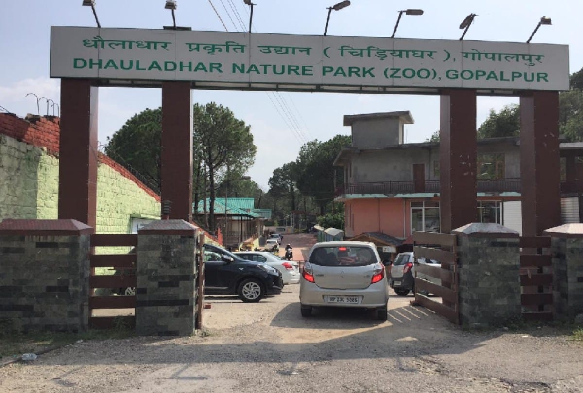 Old system implemented in Gopalpur zoo, tourists will be able to come on Sunday too
