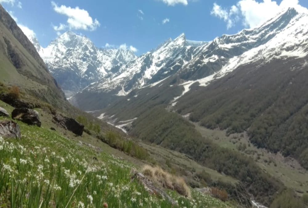 Uttarakhand News: Tourist Crowd in Auli And Valley Flowers