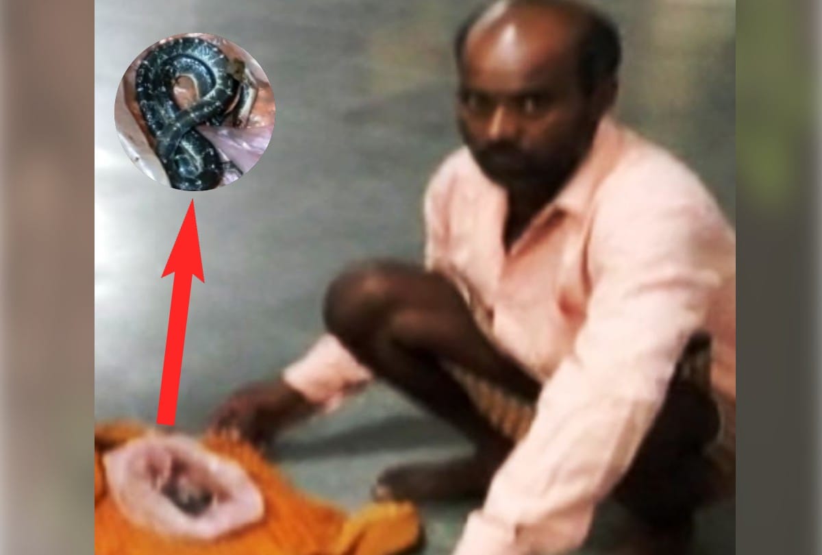 Family reached the hospital with the snake that bit the young man in Firozabad