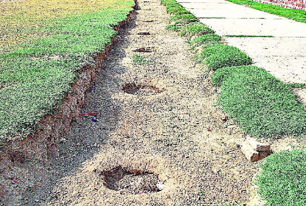 Amar Ujala Reality Check of Plantation In Agra