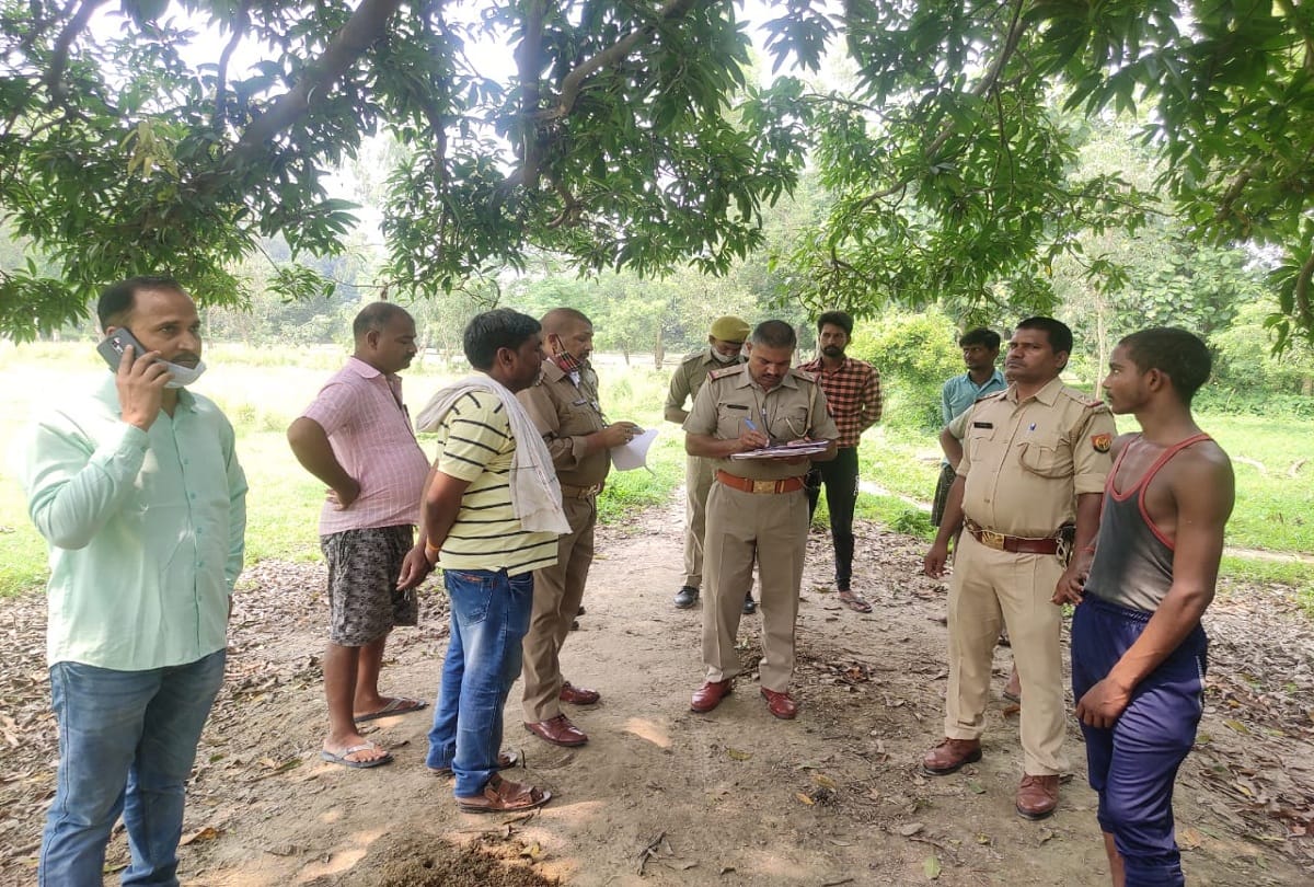 More than 100 monkeys died in Barabanki, police says only six died
