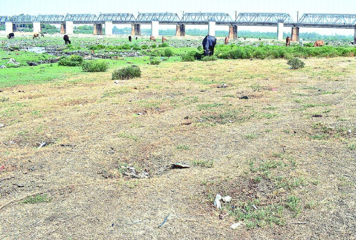 Amar Ujala Reality Check of Plantation In Agra