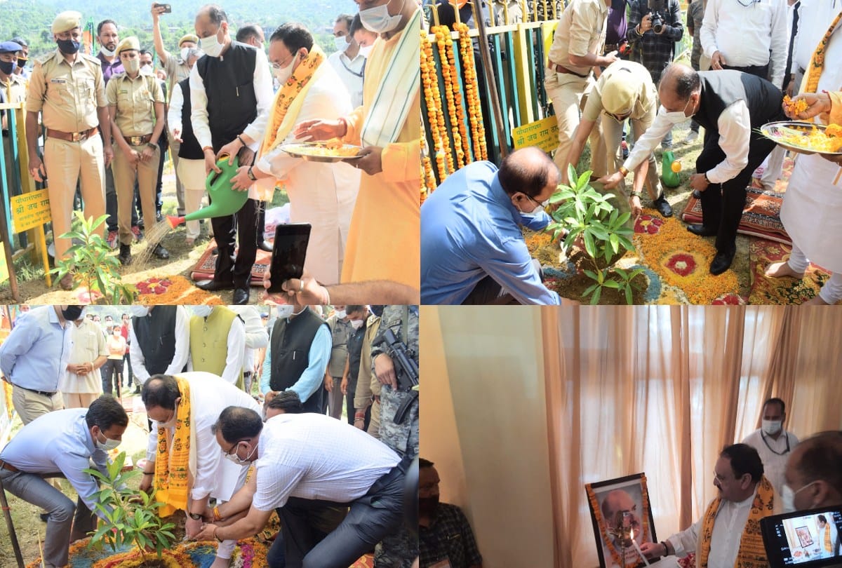 On the birth anniversary of Shyama Prasad Mookerjee, Nadda planted Rudraksh sapling in Kullu