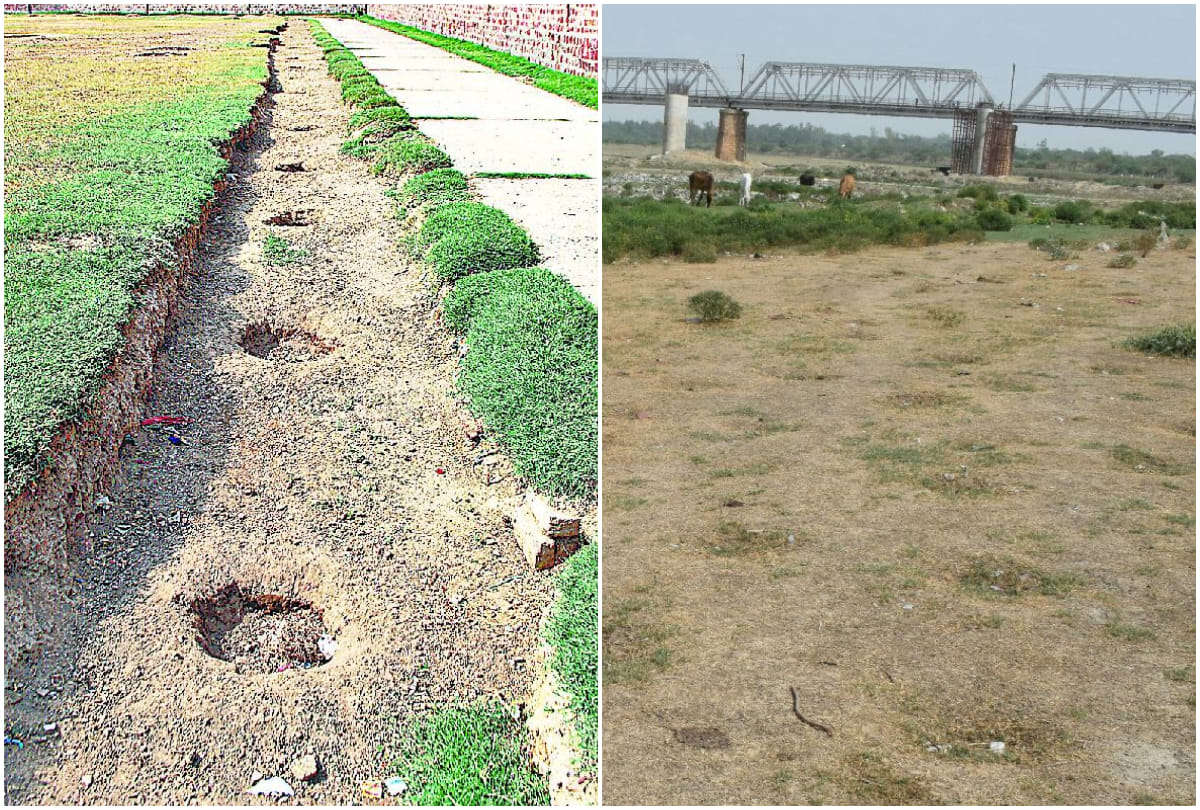 Amar Ujala Reality Check of Plantation In Agra