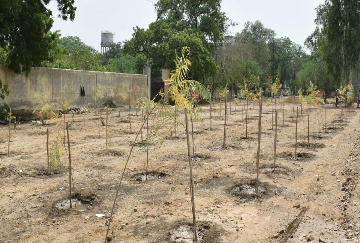 why the temprature goes so high in Lucknow, see a report.