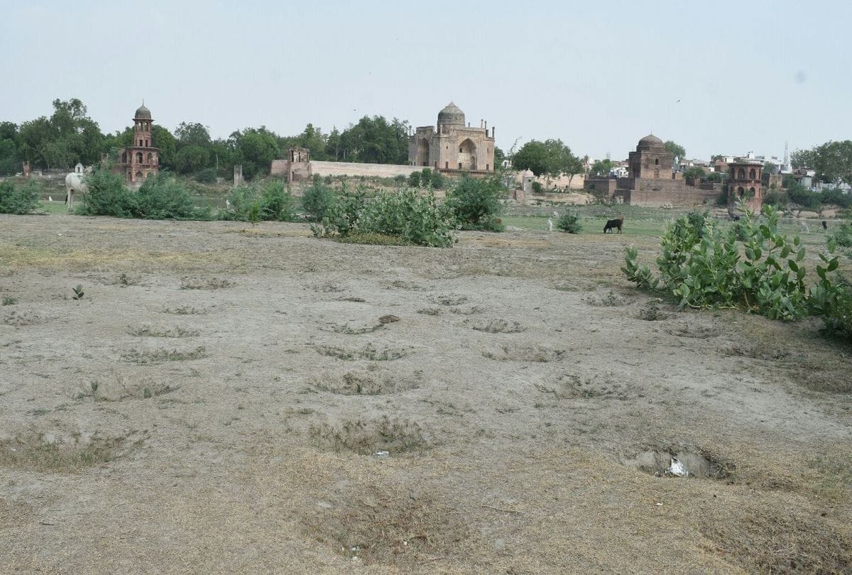 Amar Ujala Reality Check of Plantation In Agra