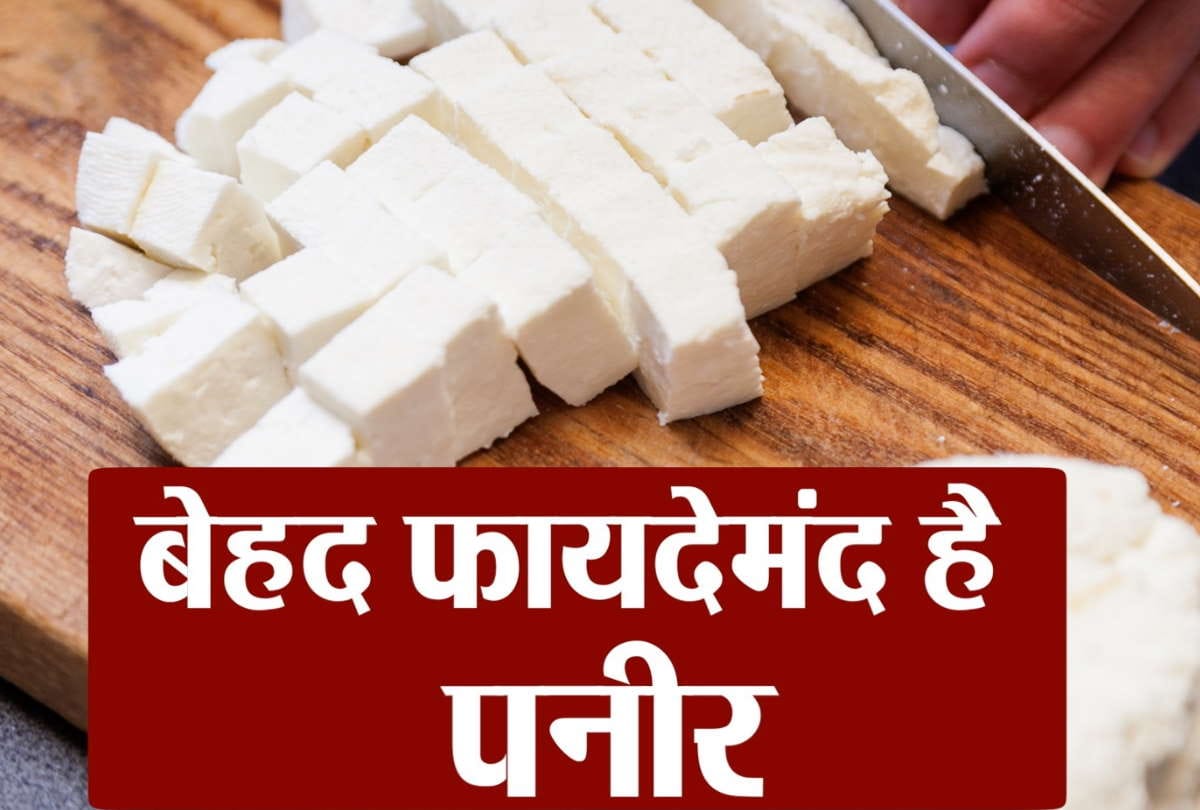 Health Tips sehat raw cheese helps in reducing blood sugar and obesity know how much cheese healthy to eat