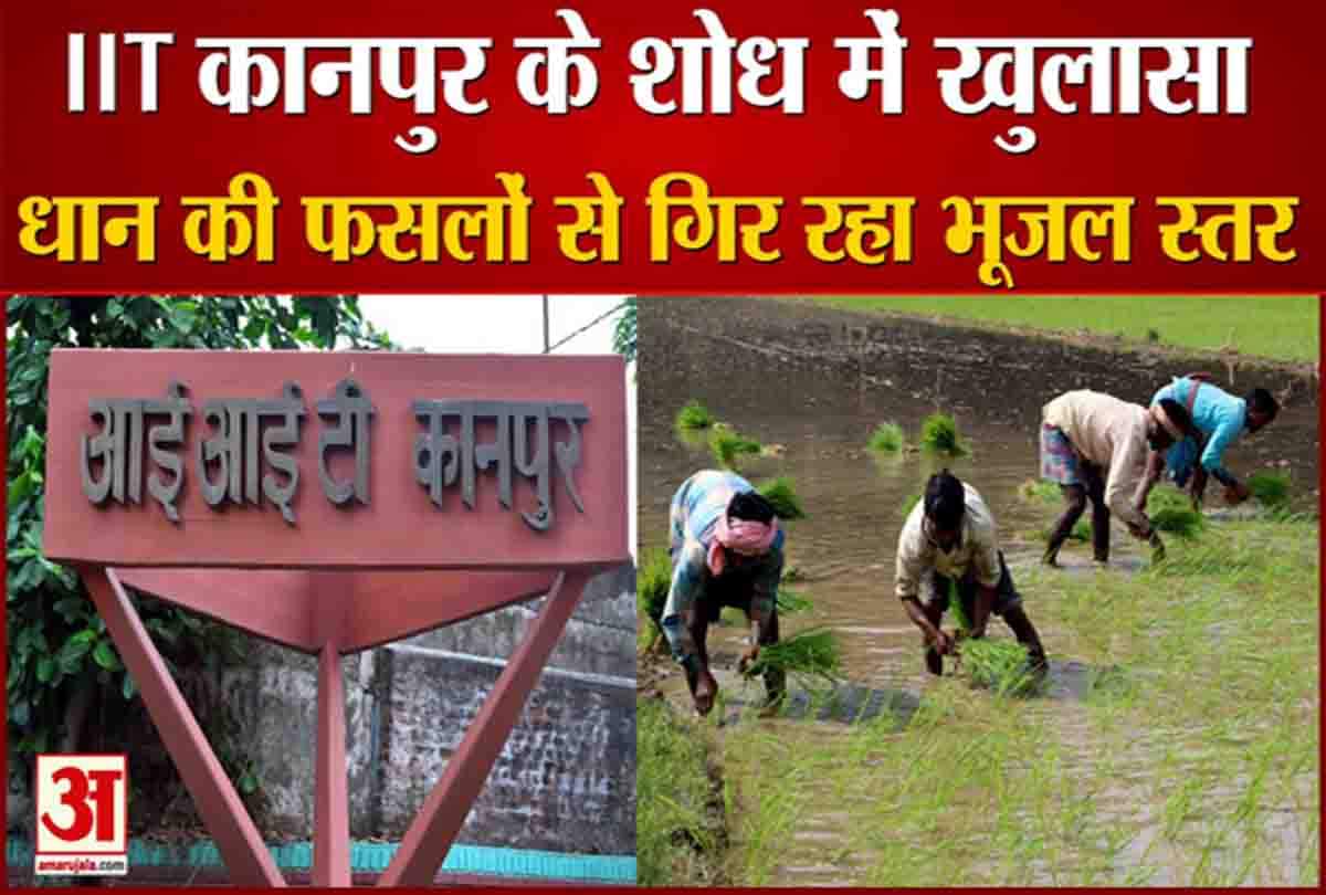 आईआईटी कानपुर के शोध में खुलासा