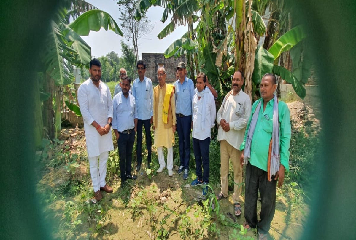 Pankaj Mishra set an example by planting one thousand plant 