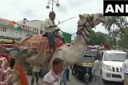 ईंधन की बढ़ती कीमतों के खिलाफ ऊंट पर प्रदर्शन