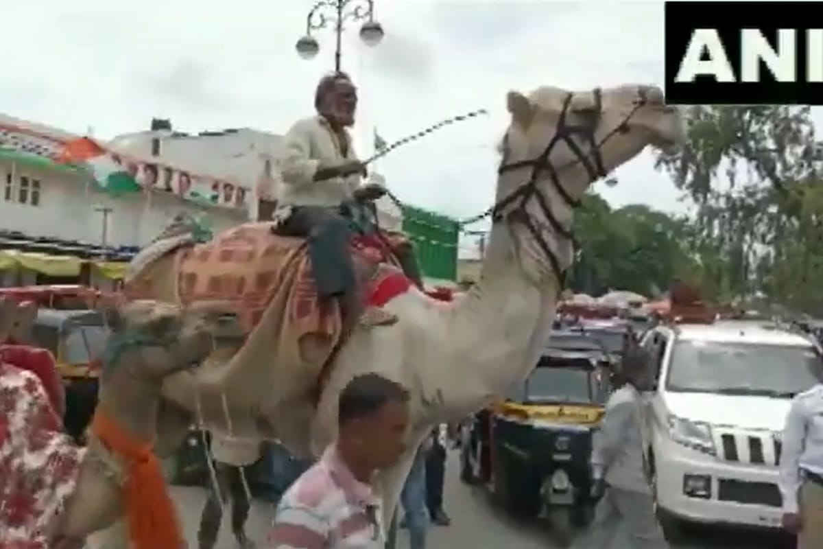 Aurangabad Congress Committee protests against fuel price hike on camels, bullock carts and cycles