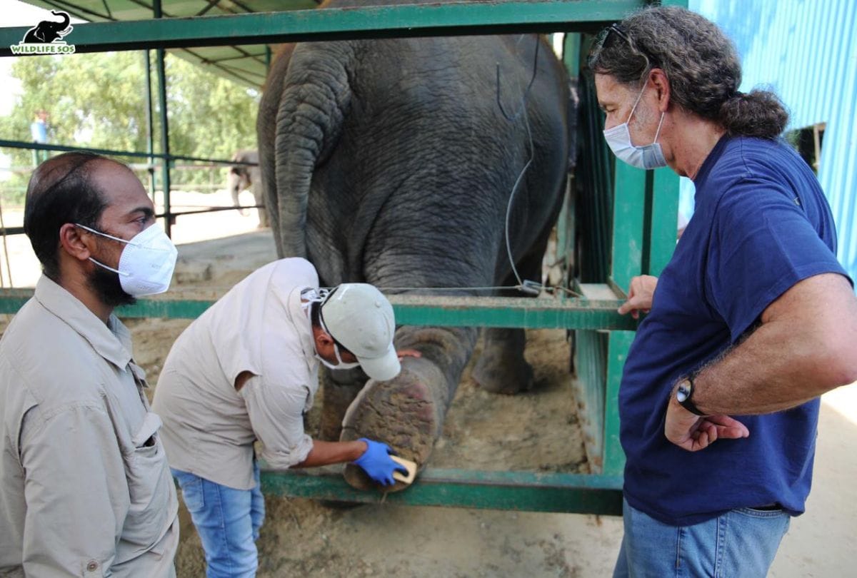 Walter J. Lindner Ambassador Of Germany In India Visits Elephant Conservation Center