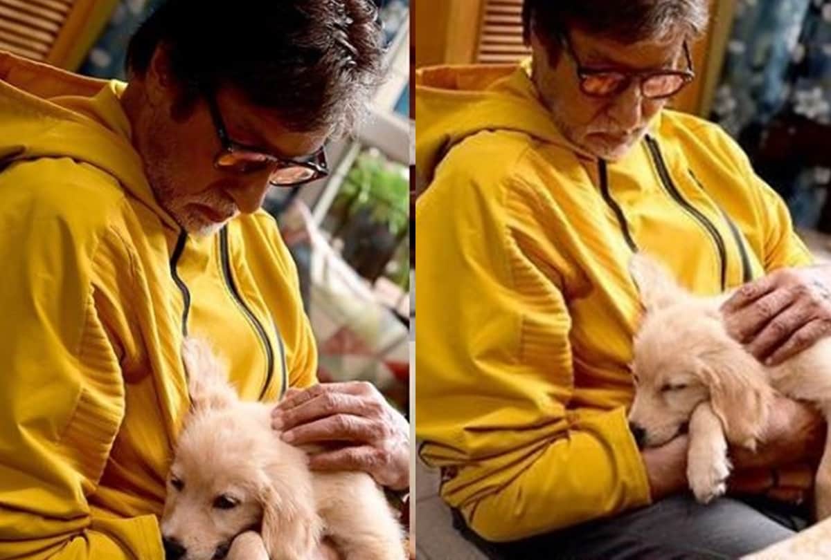 Amitabh Bachchan share beautiful photo of himself holding a cute puppy fans showered love
