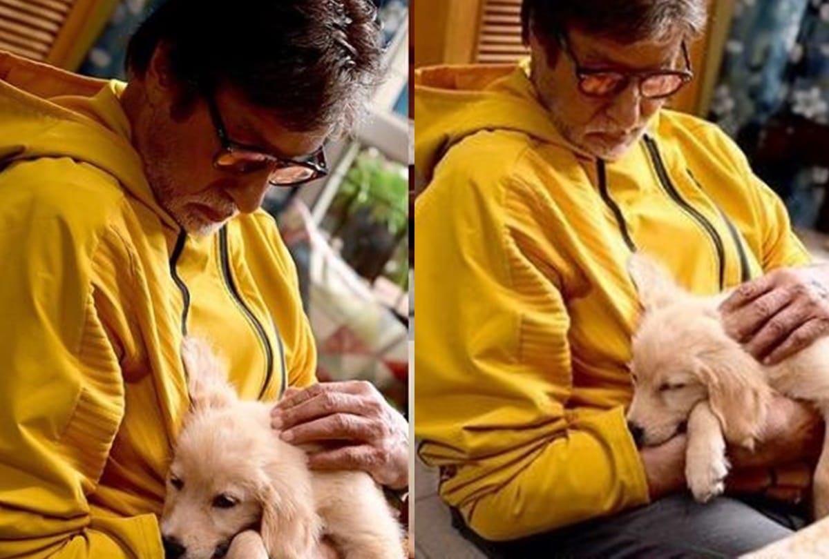 Amitabh Bachchan posted fake poetry in of Ghalib and Iqbal got brutally trolled