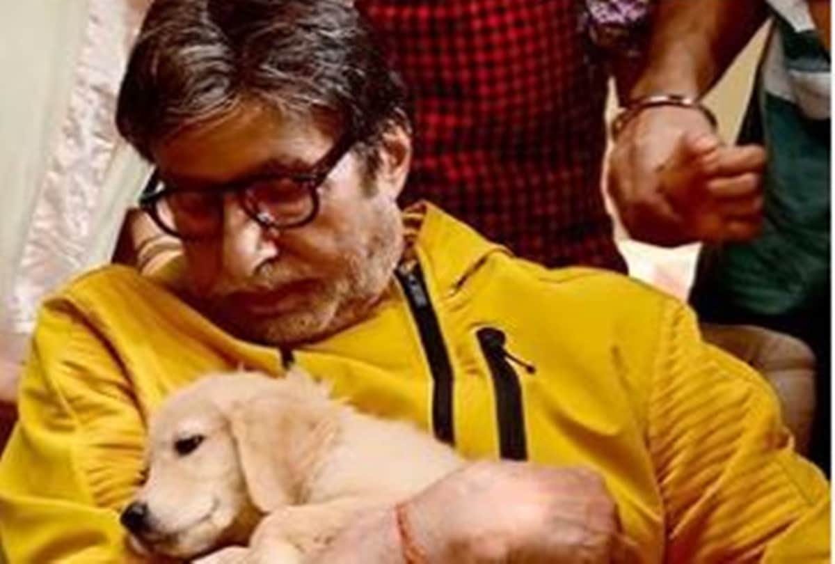 Amitabh Bachchan share beautiful photo of himself holding a cute puppy fans showered love