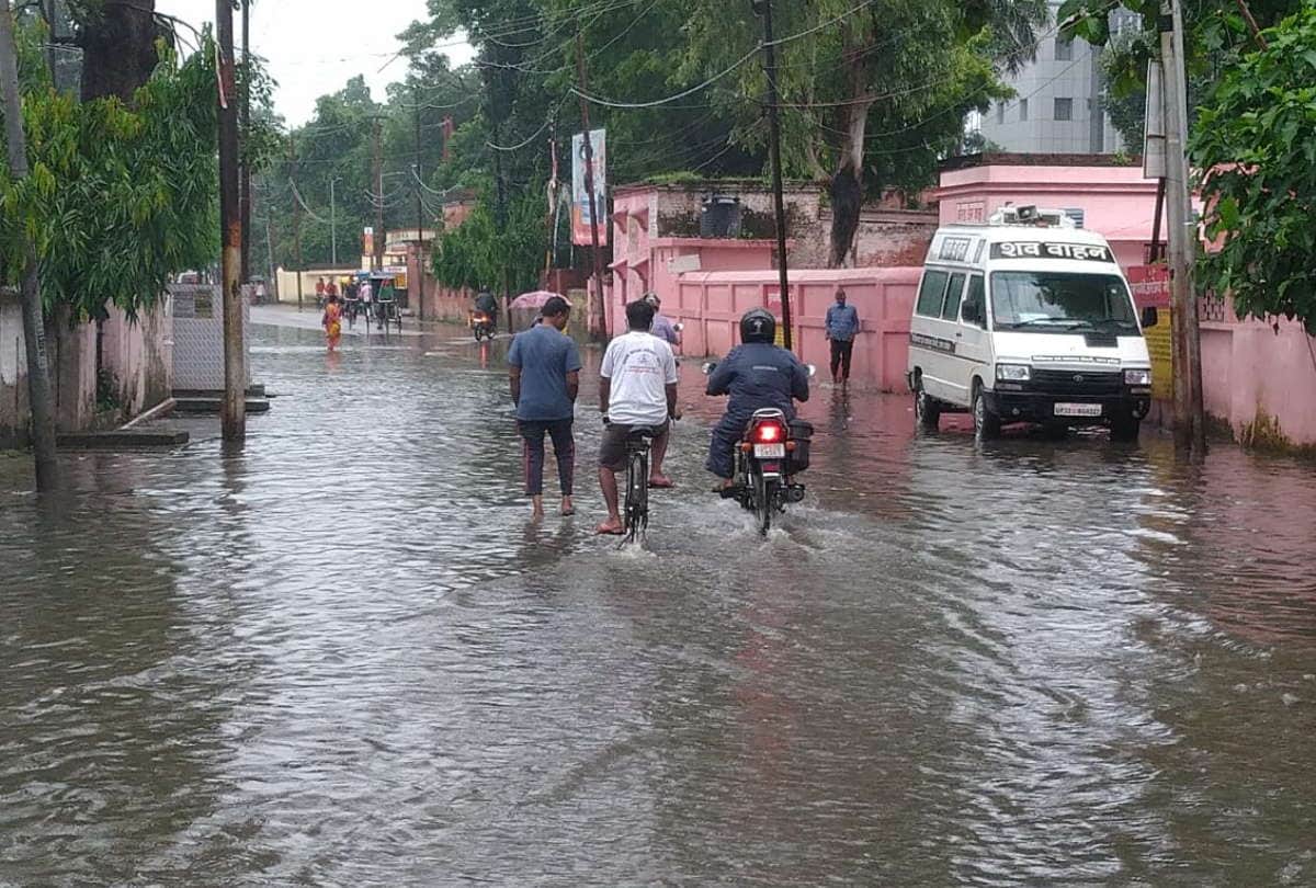 Gorakhpur weather News Water logging in Gorakhpur after heavy rain Farmers will benefit