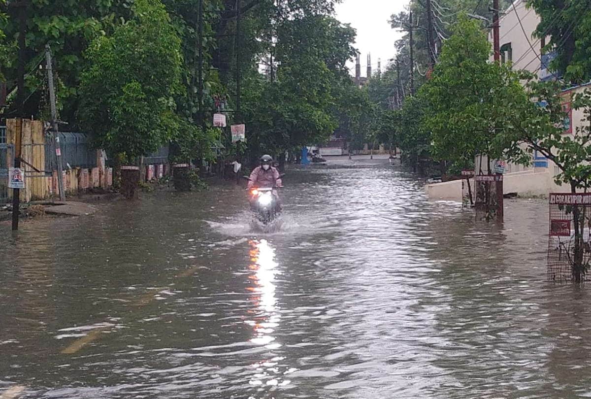 Gorakhpur weather News Water logging in Gorakhpur after heavy rain Farmers will benefit