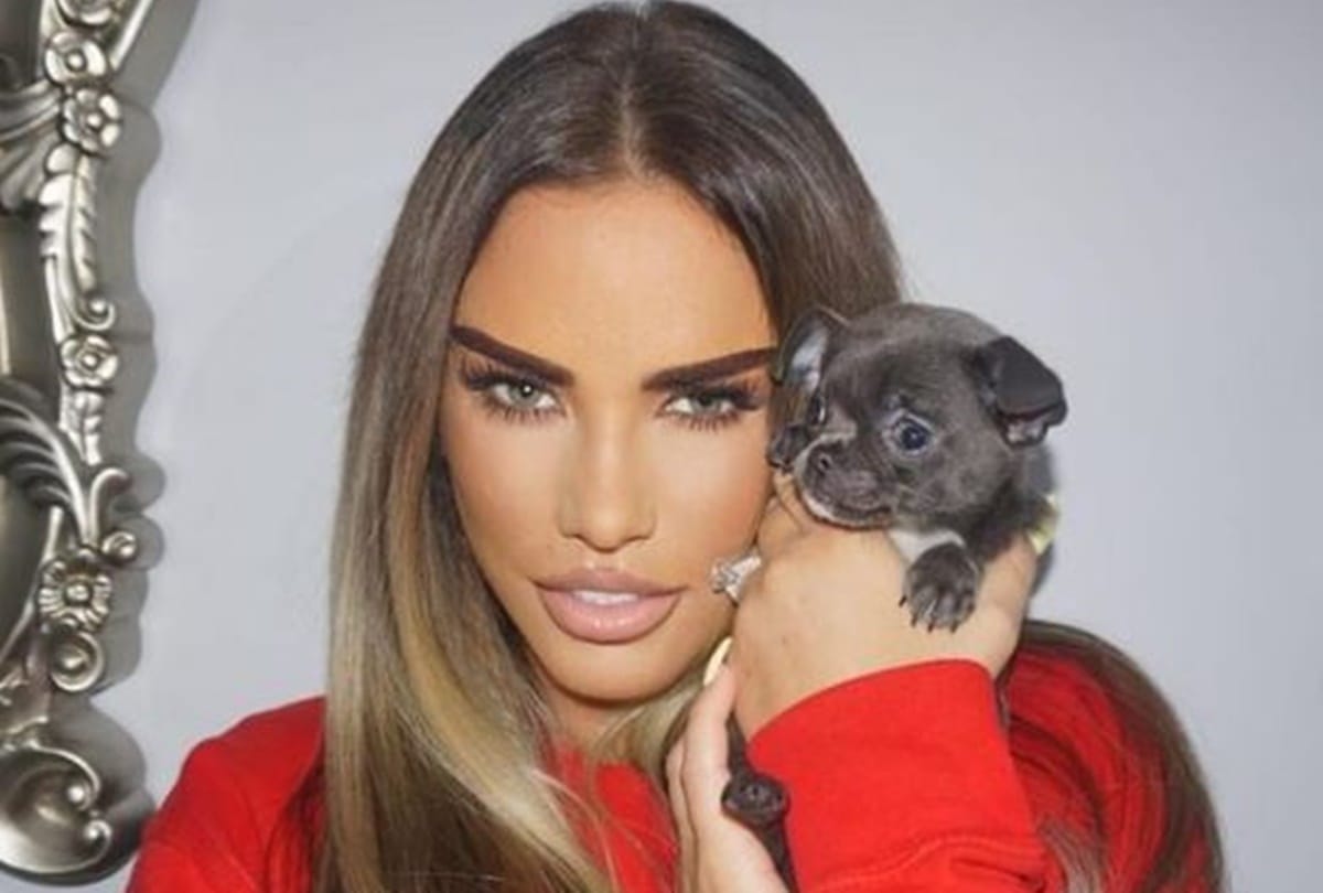 Katie price share photos after her latest cosmetic surgery fans are concerned if she is addicted