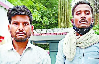 Wildlife organ smugglers caught including tiger teeth