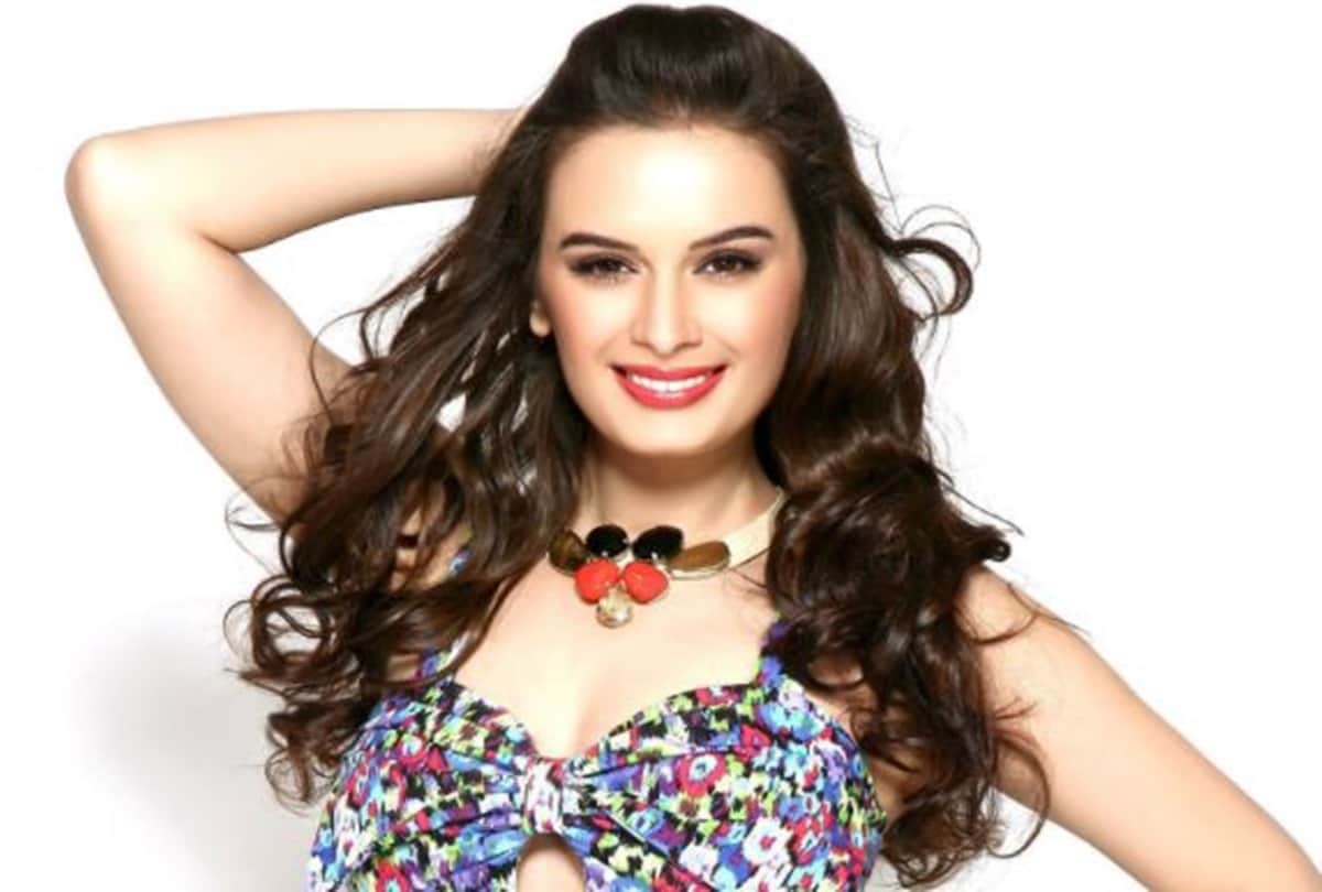 Evelyn sharma birthday special lesser known facts about sunny sunny girl
