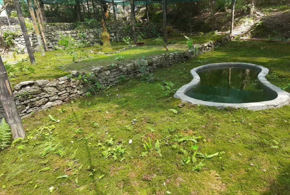 Uttarakhand News: First Cryptogenic Garden of India Started in Chakrata Uttarakhand