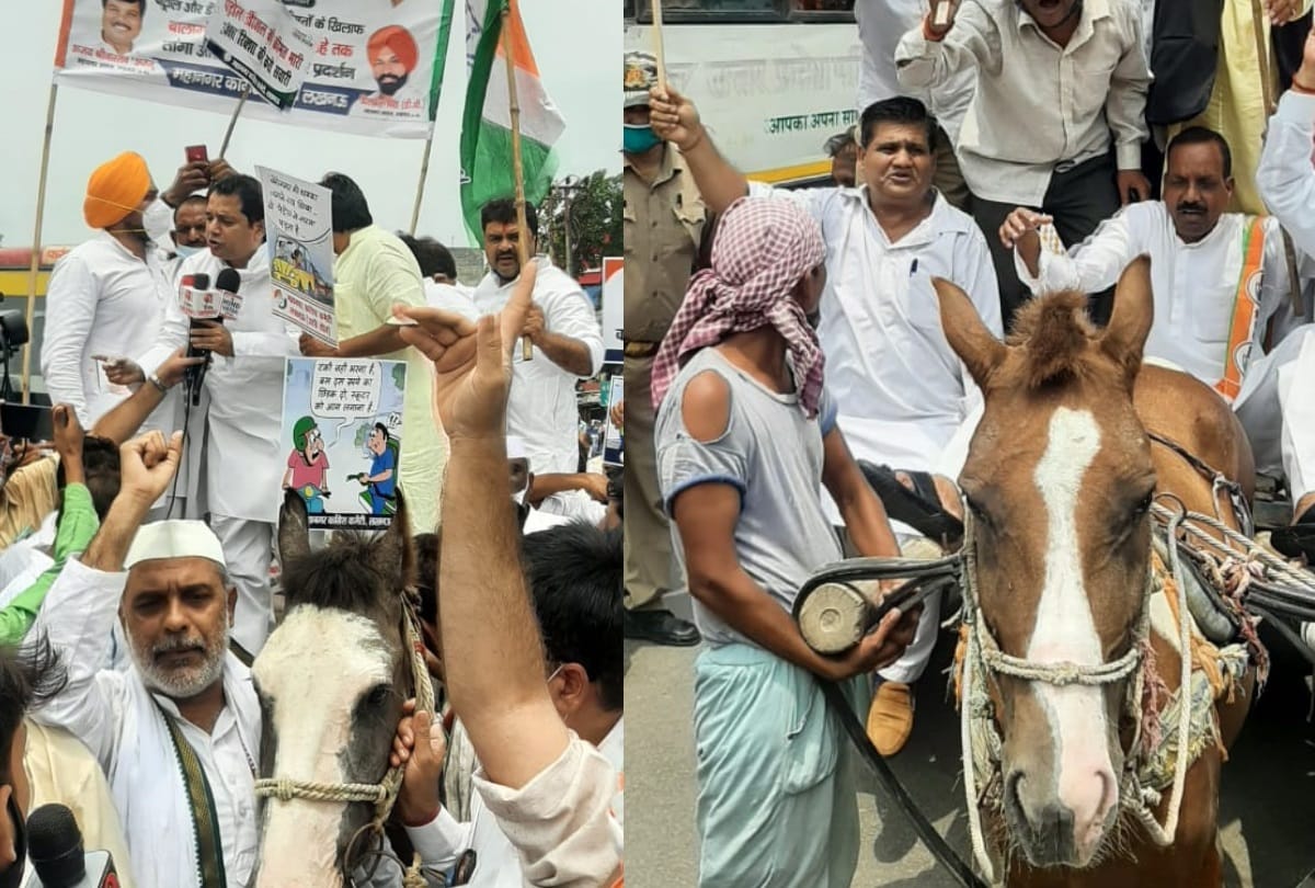 Congress protest against increased petrol diesel price.